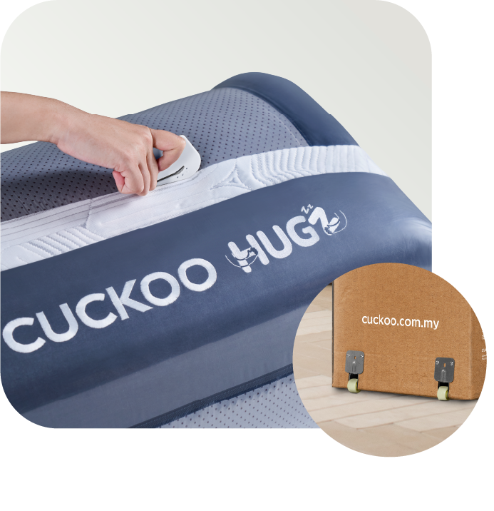 Convenient Set-Up